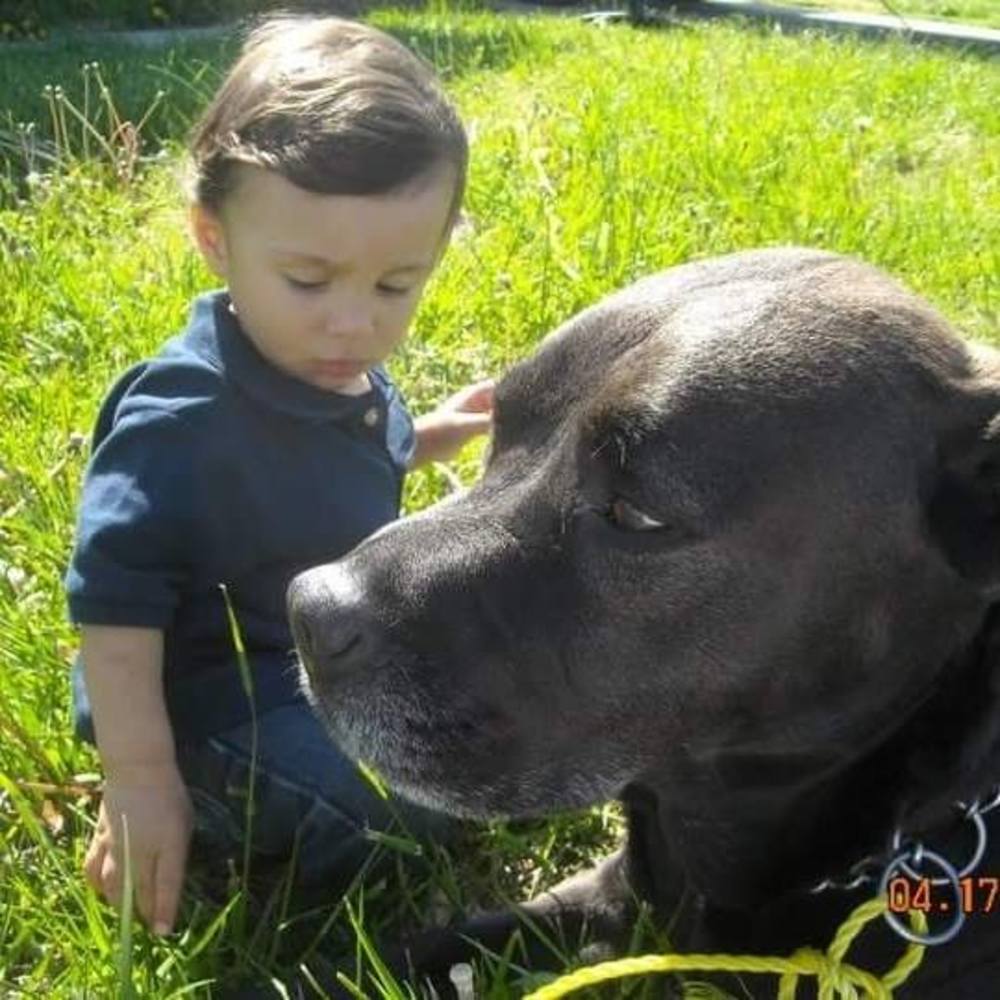 Meet your Posher, Jill